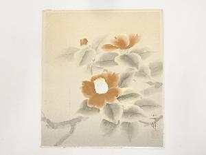 秋田英峰筆　椿図　肉筆色紙